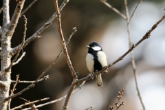 立派なネクタイ