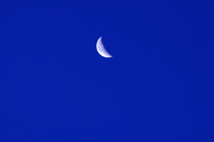 暁の月