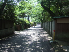 鎌倉の小路