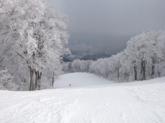 野沢