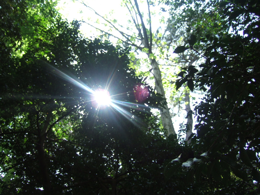 白金植物園