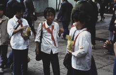 中国1980-40013