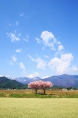 間に合ったー。