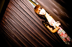 Dolly-4