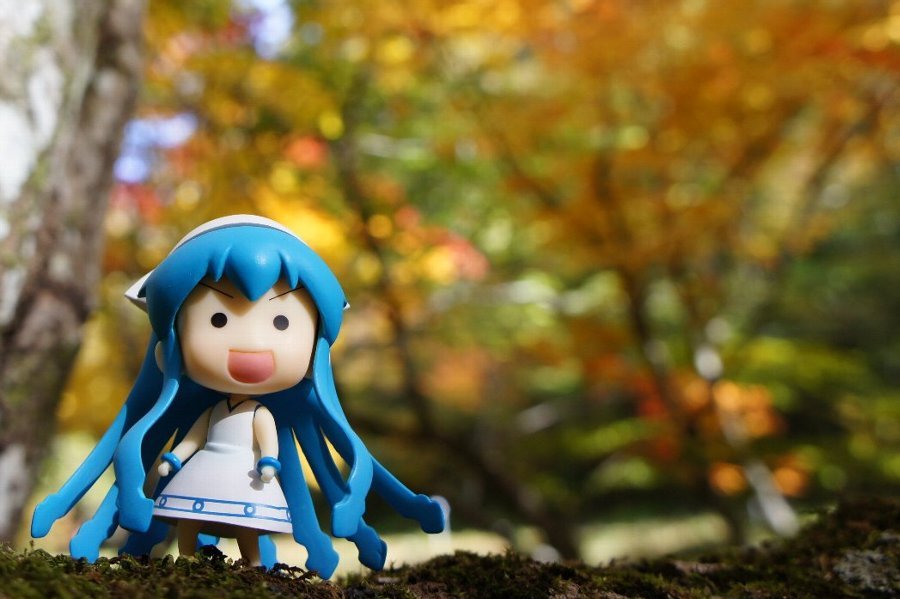 MiniIka003