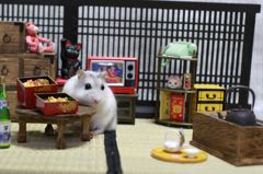 Hamuru11
