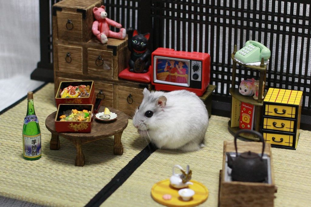 Hamuru01