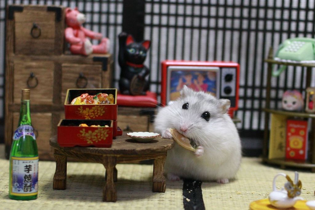 Hamuru03