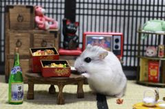 Hamuru12