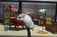 Hamuru05