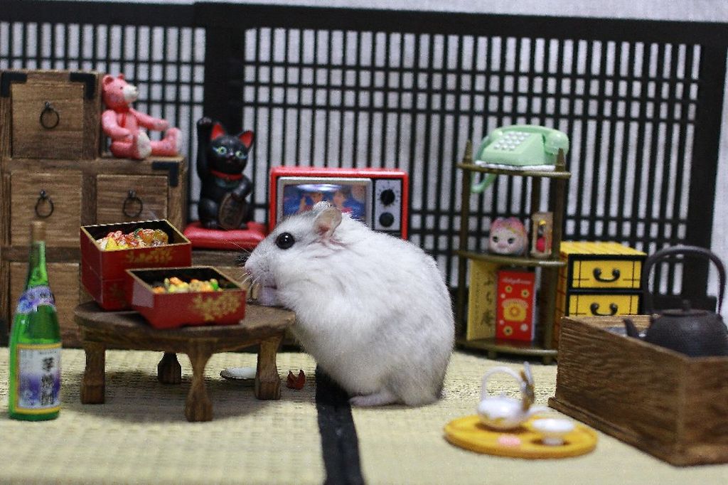 Hamuru10