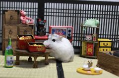 Hamuru06