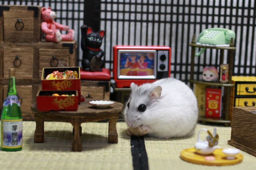 Hamuru02