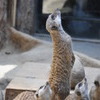 背筋を伸ばして