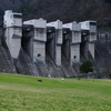 日吉ダム・丘陵