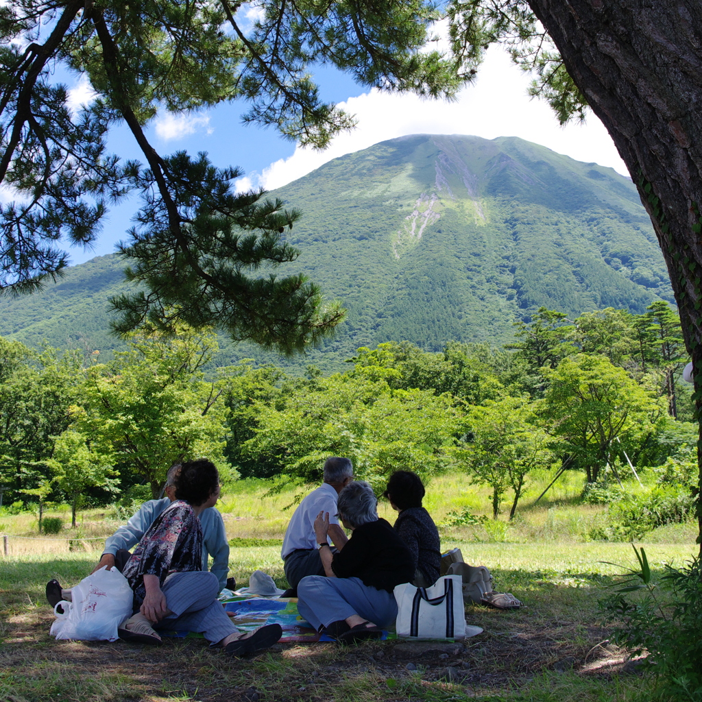 木陰から大山を望む