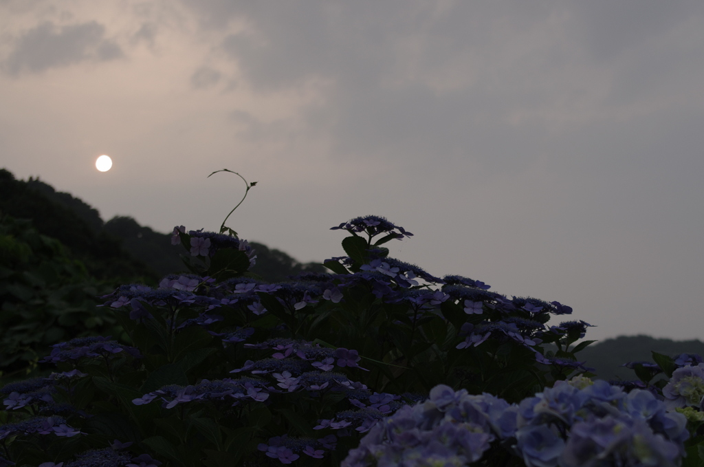 明日も雨？