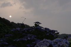 明日も雨？