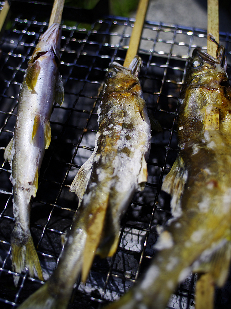 鮎の塩焼き♪