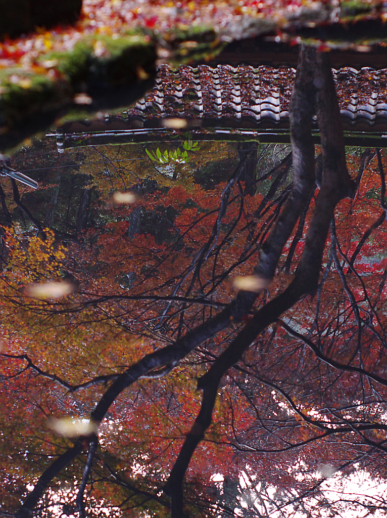 鰐淵寺の水鏡