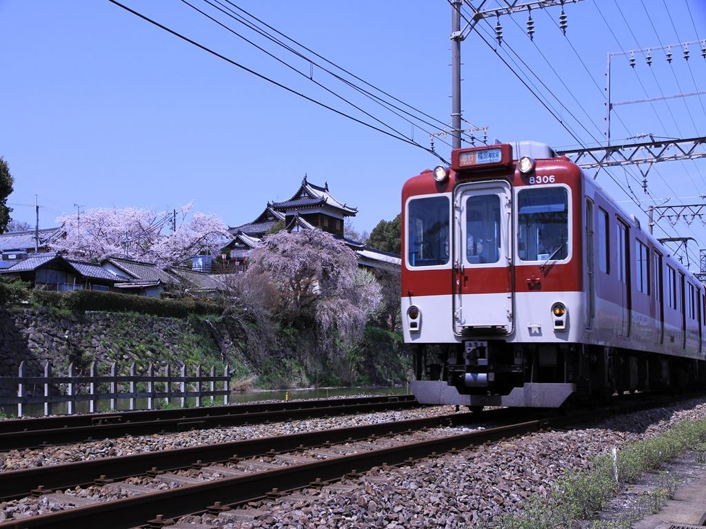 大和郡山城跡の桜と近鉄電車　6195