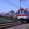 大和郡山城跡の桜と近鉄電車　6195