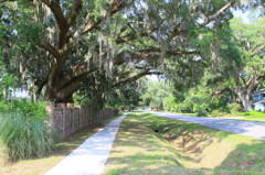 散歩道