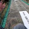 幸せを　欲張らないで・・・