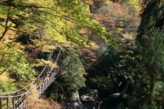 奥祖谷二重かずら橋紅葉