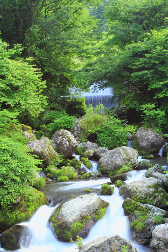 仁淀川上流