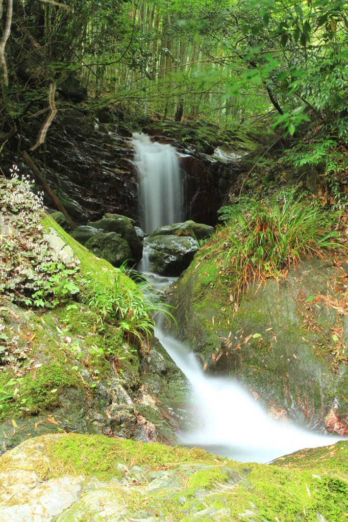 こびたにの滝