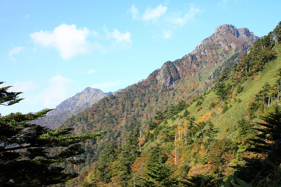 石鎚山紅葉
