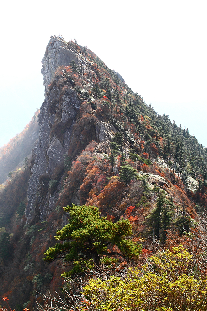 天狗岳紅葉