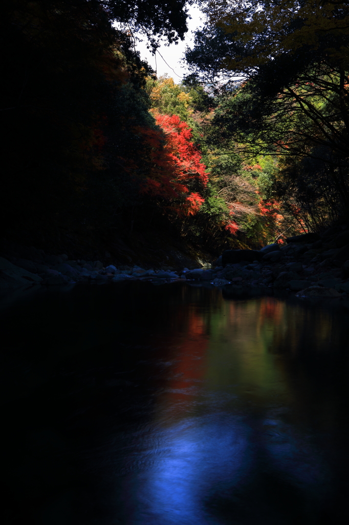 紅葉