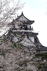 高知城