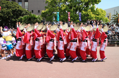 はな・はるフェスタ2010