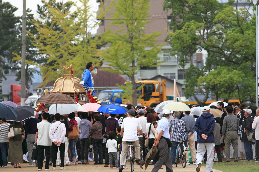 旧松山市内神輿総練イベント