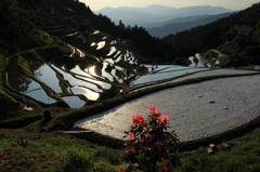 泉谷棚田