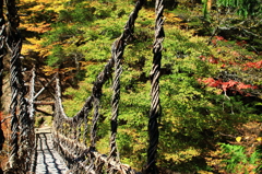 奥祖谷二重かずら橋紅葉はまだ少し