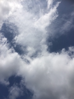 2017/07/29