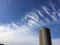 2015/11/21