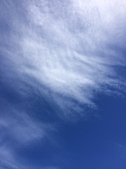 2016/08/19