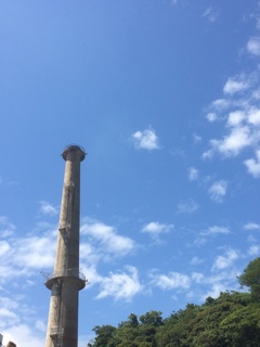 2017/08/09