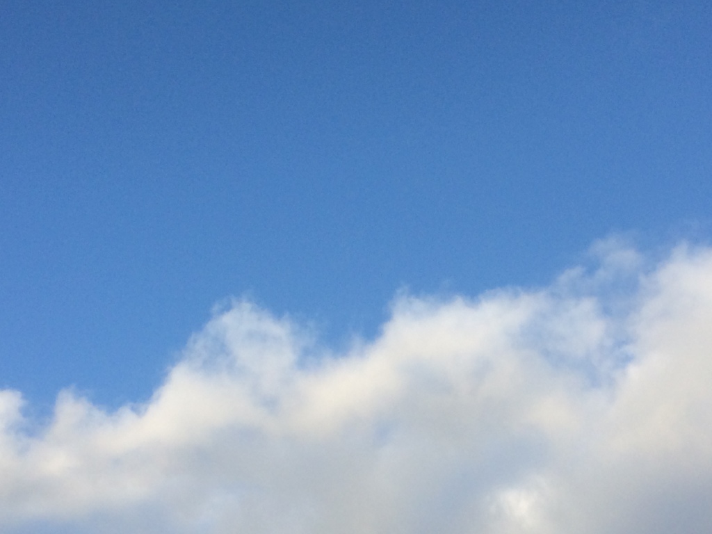 2017/07/30