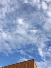 2016/06/05