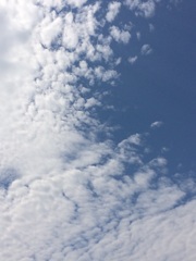 2016/08/17