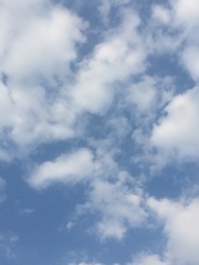 2016/08/09
