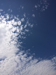 2016/08/17