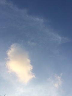 2017/07/21