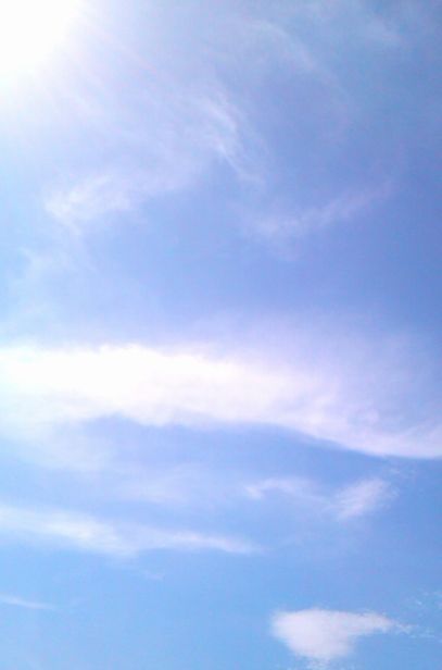 燦々と降り注ぐ